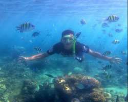 The site is a paradise for water sports lovers. It gives an opportunity to enjoy sports like diving, snorkeling, swimming or just sitting on the seasi